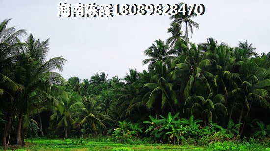 清鳳椰林灣項(xiàng)目詳情及售樓電話介紹！